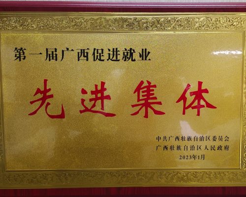 第一届广西促进就业先进集体
